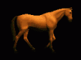/album/mozgo-kepek/cheval-125-gif/