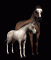 /album/mozgo-kepek/g29-gif/
