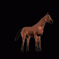 /album/mozgo-kepek/horse33-gif/
