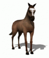 /album/mozgo-kepek/horse-tail-swing-gif/